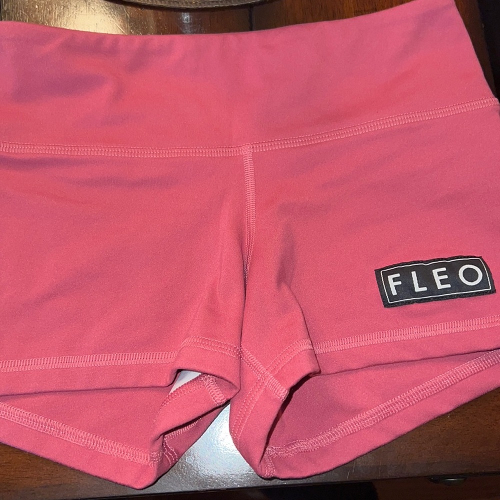 Fleo Shorts. Worn once